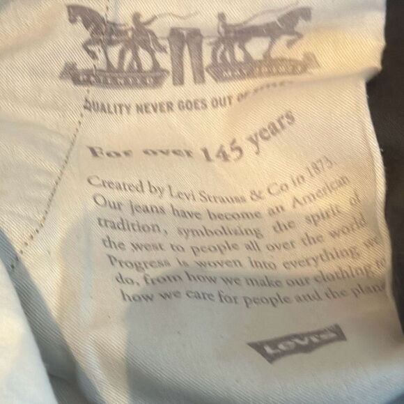 Levi’s Strauss & co Two Horse Brand Gray Cargo Shorts size 40 - Picture 7 of 9